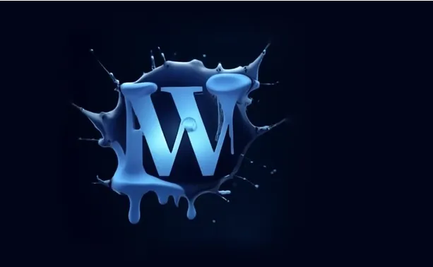 WordPress takes control of ACF plug-in
